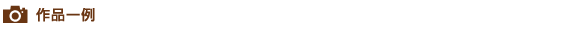 作品一例